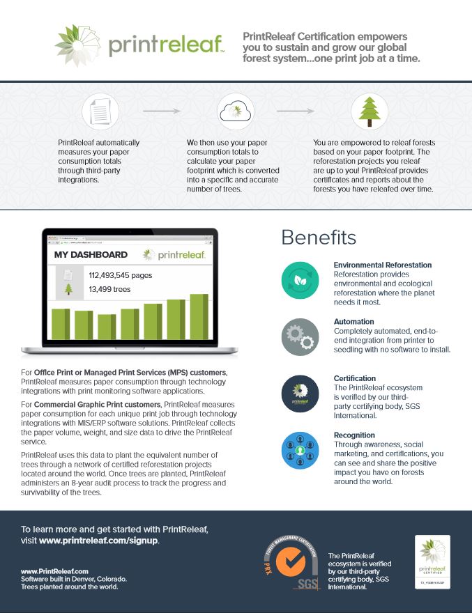 One Page Summary Flyer, PrintReleaf, Offitek